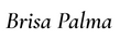 Translation missing: en.Brisa Palma accessibility.home